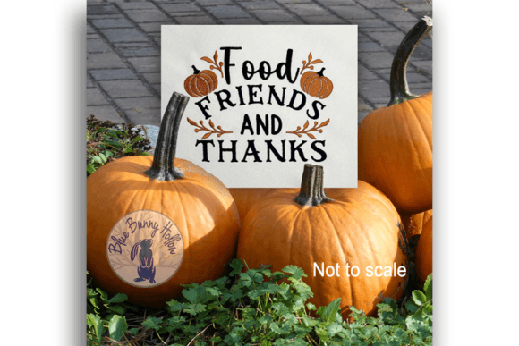 Food Friends and Thanks: A Designer's Review
